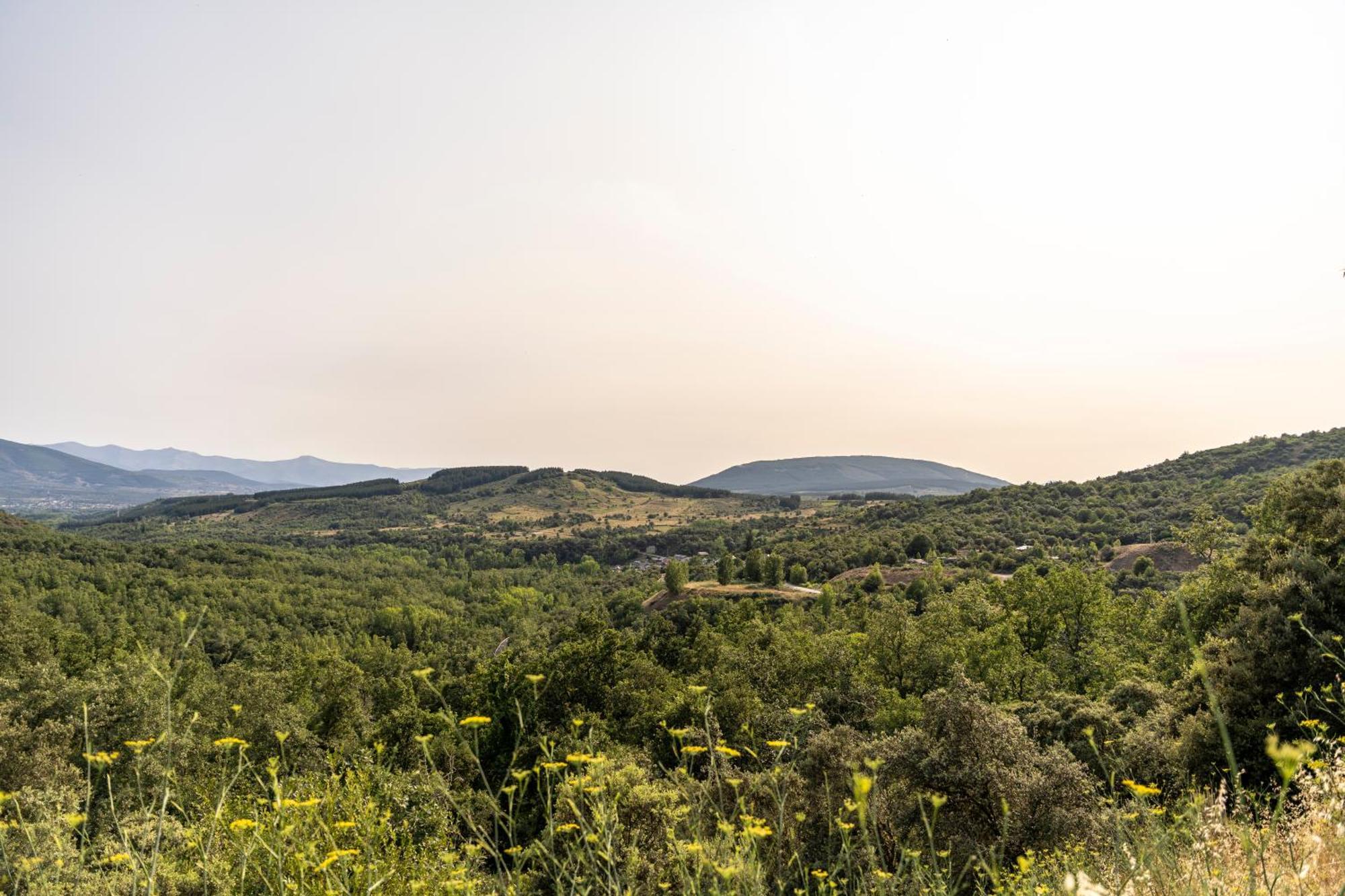 Casa De Turismo Rural Sardom3 Bembibre  Exteriör bild